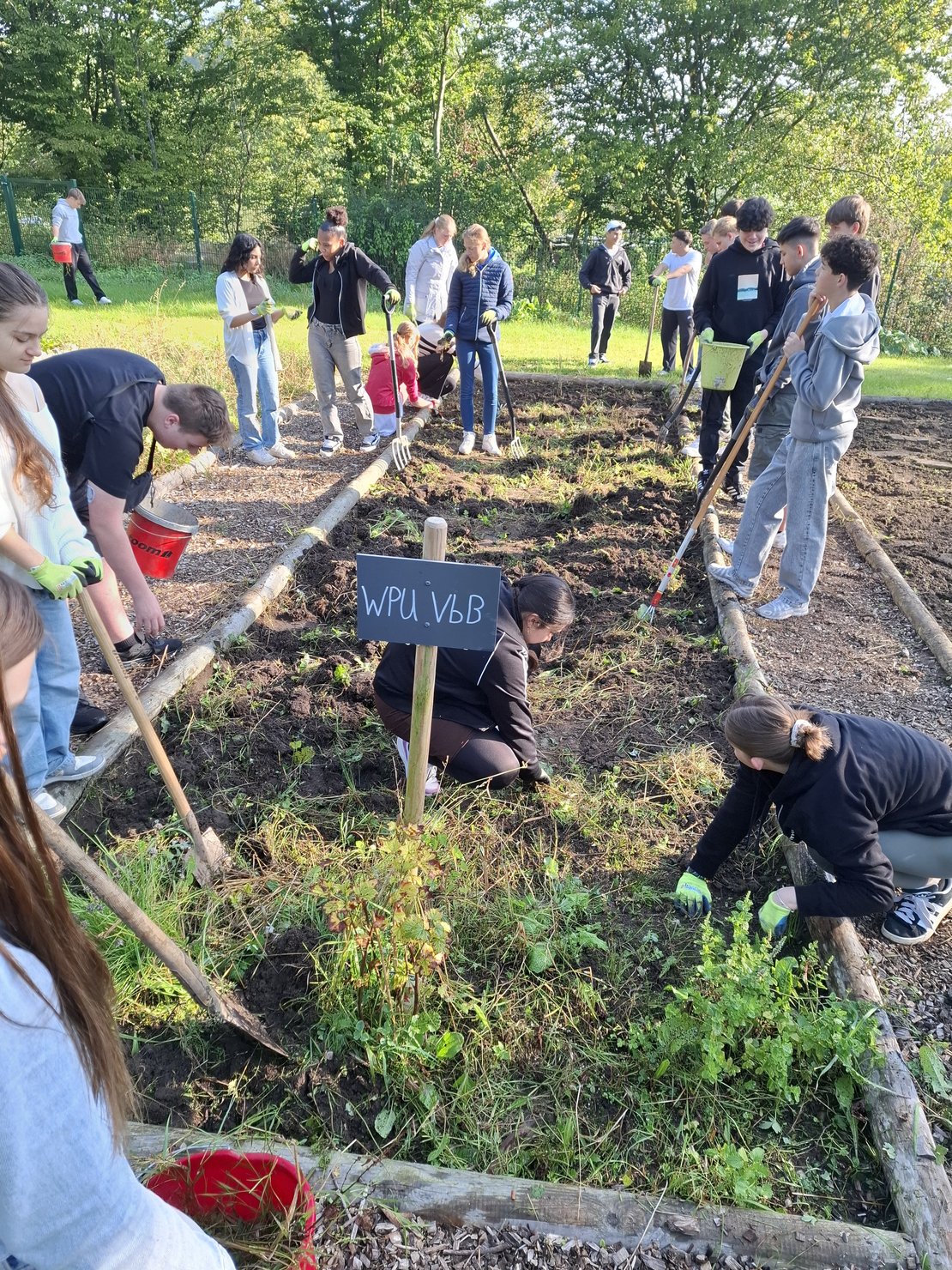 Foto Schülerinnen und Schüler des WPUs arbeiten im eigenen Schulbeet