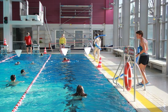 SchülerInnen trainieren im Wasser das Schwimmen.